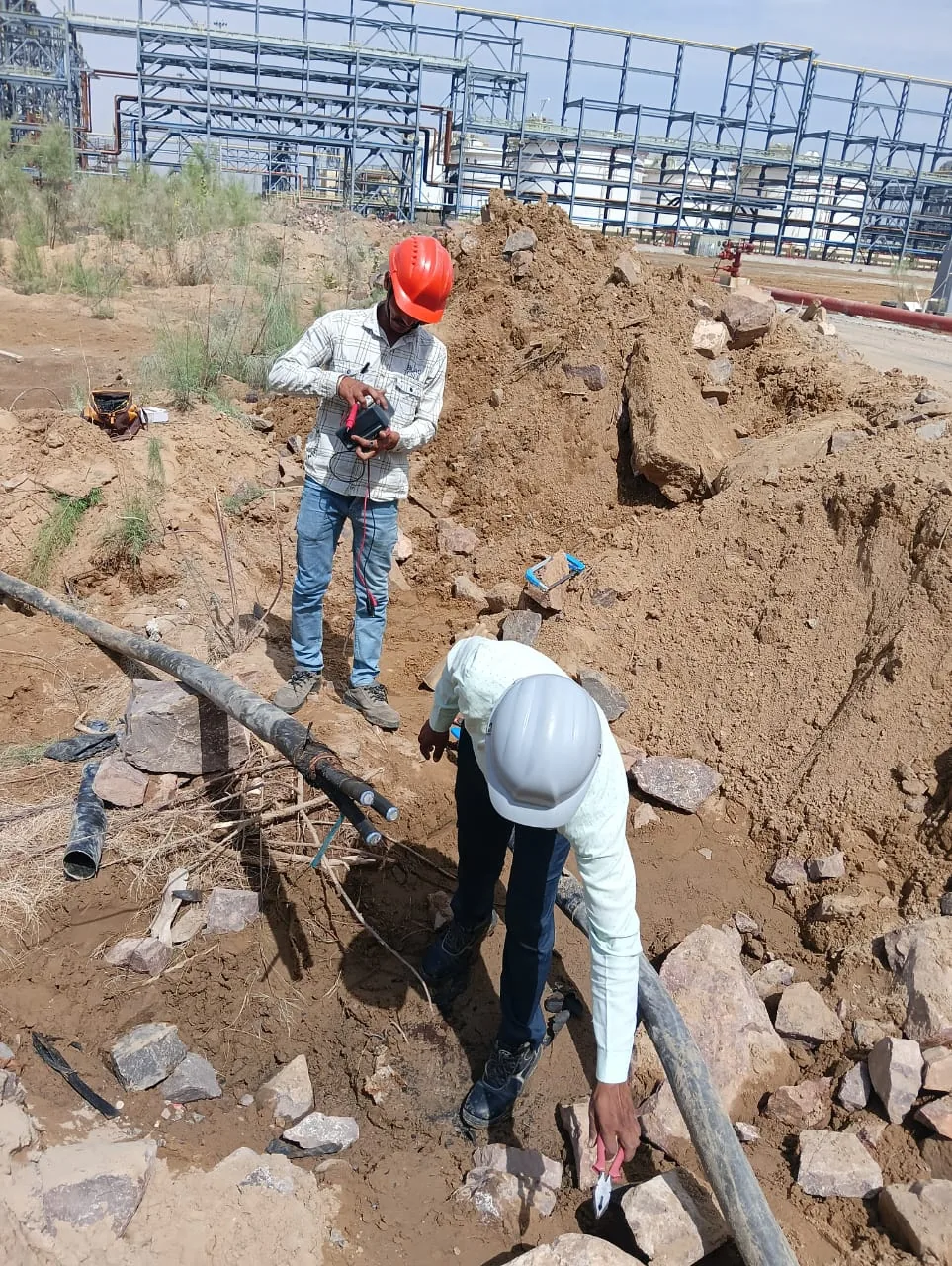 Site team executing field work